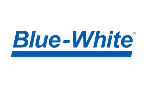 Logotipo en azul de Blue-White